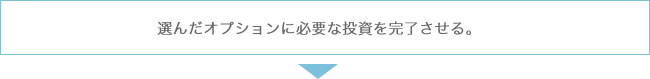 選んだオプションに必要な投資を完了させる。