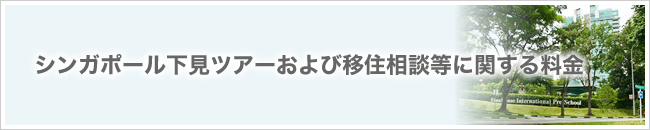 シンガポール下見ツアーおよび移住相談等に関する料金